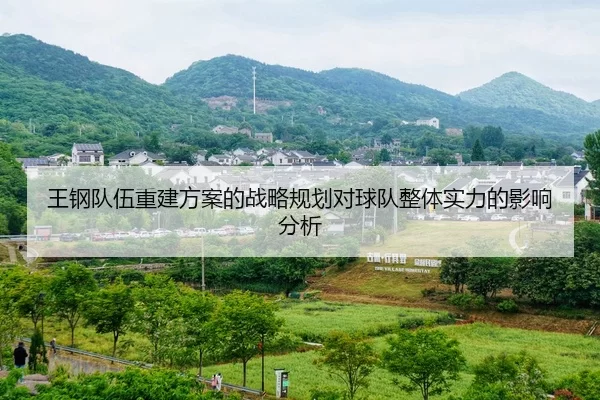 王钢队伍重建方案的战略规划对球队整体实力的影响分析